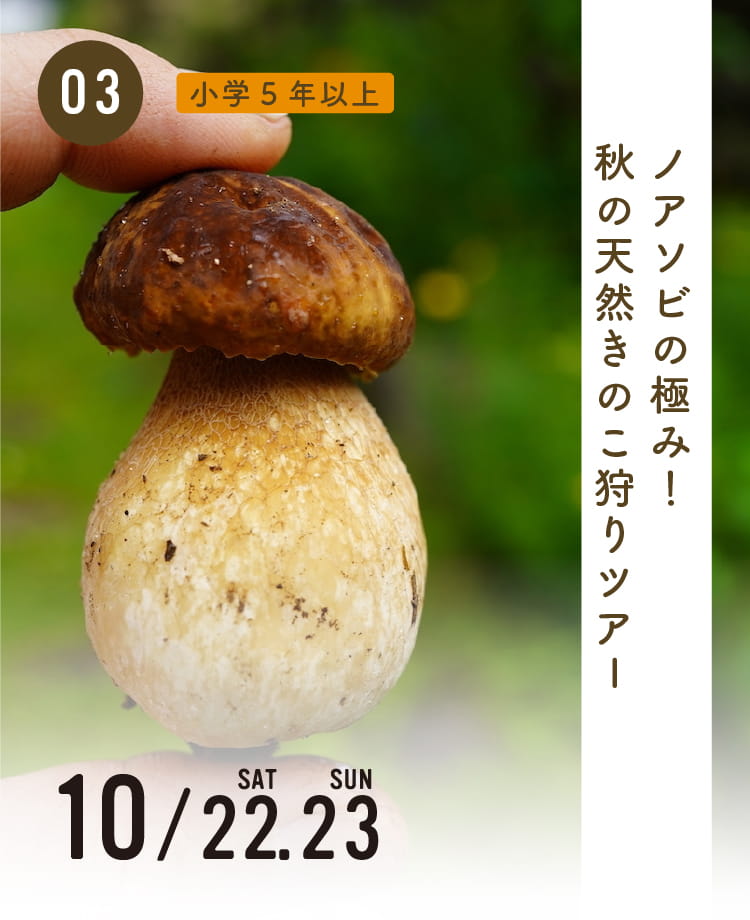 ノアソビの極み！秋の天然きのこ狩りツアー