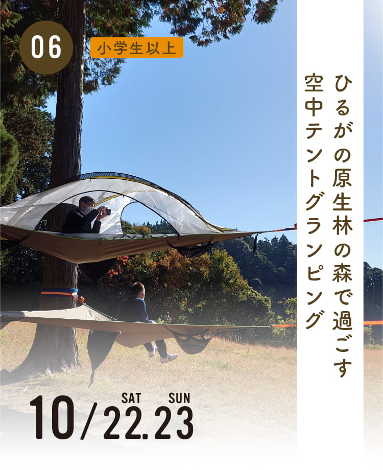 ひるがの原生林の森で過ごす、空中テントグランピング